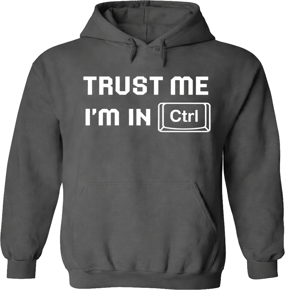 Adult Hoodie - I'm in Ctrl