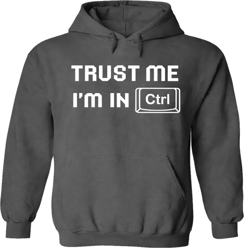 Adult Hoodie - I'm in Ctrl