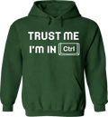 Adult Hoodie - I'm in Ctrl